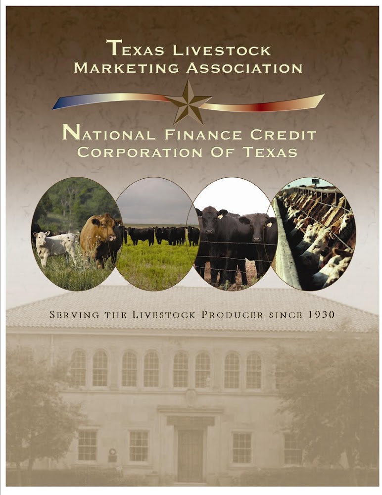 National Finance Credit Corporation